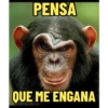 MONKEYS 6