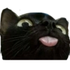 Memes randoms 5
