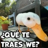 QUE TE TRAES WE? COFFE
