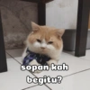 sopan kah begitu?