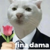 14
fina dama