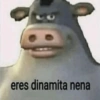 eres dinamita nena