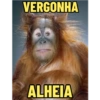 MONKEYS 7