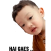 ERENOAH 1 5