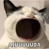 AIUUUUUDA