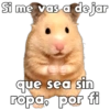 💞🐹Hamstercitos De Amor🐹💞 8