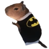 Capivara 👀 21
