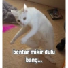 Low quality cat 8
