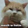masih w liatin