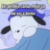 Meemes de animalitos 3🥵✨ 10