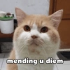 mending u diem