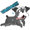 Schnauzer Navidad 6