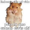 💞🐹Hamstercitos De Amor🐹💞 7