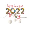 New Year 2022 🎉❄️ 12