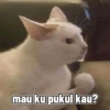 Low quality cat 5
