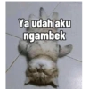 Ya udah aku
ngambek