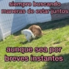 Memestickers 7 ⭐ 5