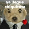 ya llegue
chiquitota
