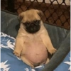 al
