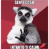 SENTI COSO, INTANTO TI CALM!