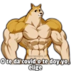 Memes Collection 2 21