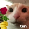 ten