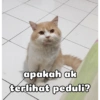apakah ak terlihat peduli?