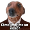Memes Collection 2 29