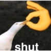 shut