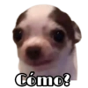 Cómo?