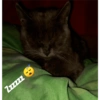 Zzzzzz