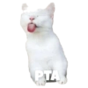 Gatitos #1 23