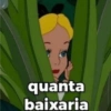 quanta baixaria