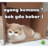 ayang kemana? kok gda kabar:(