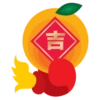Oloiya CNY 12