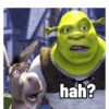 hah?