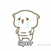 二手
laperr