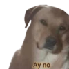 Ay no