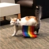 Gatitos Random #10 11