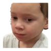 Gavin 7