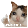 Gatitos #1 26