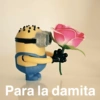 Para la damita