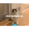 Bucin ayang 5