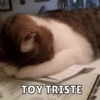 TOY TRISTE