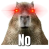 NO