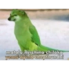 matalu nerchina chilaka yenni ayina chepthundhi