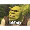 hah? gjls