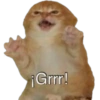 Apenas os melhores memes 9
