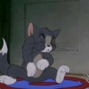 Tom and jerry 23