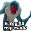 Harley Stickers
El rey ha
regresado